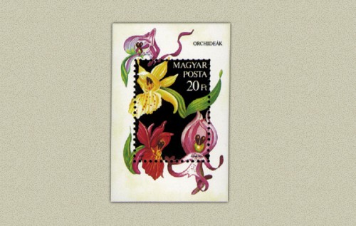 ORCHIDEÁK - BLOKK ORCHIDEÁK - BLOKK