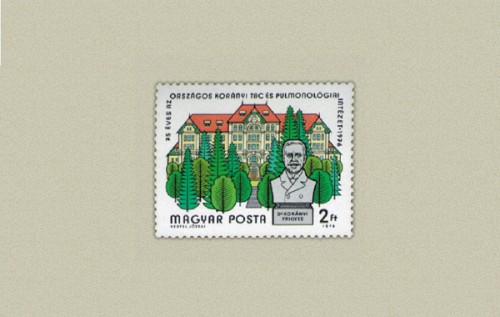 KORÁNYI INTÉZET KORÁNYI INTÉZET