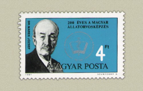 MAGYAR ÁLLATORVOSKÉPZÉS MAGYAR ÁLLATORVOSKÉPZÉS