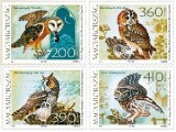 Magyarország állatvilága: Baglyok - Fauna of Hungary: Owls