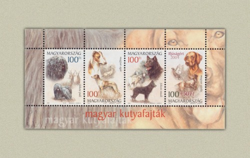 MAGYAR KUTYAFAJTÁK MAGYAR KUTYAFAJTÁK