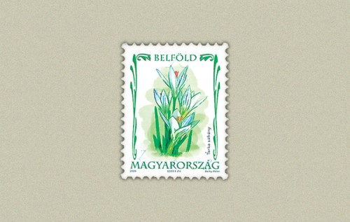VÉDETT HAZAI VIRÁGOK VÉDETT HAZAI VIRÁGOK