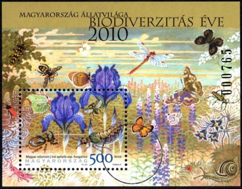 MAGYARORSZÁG ÁLLATVILÁGA IV. MAGYARORSZÁG ÁLLATVILÁGA IV.