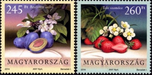 MAGYARORSZÁG KULTÚRFLÓRÁJA: GYÜMÖLCSÖK MAGYARORSZÁG KULTÚRFLÓRÁJA: GYÜMÖLCSÖK